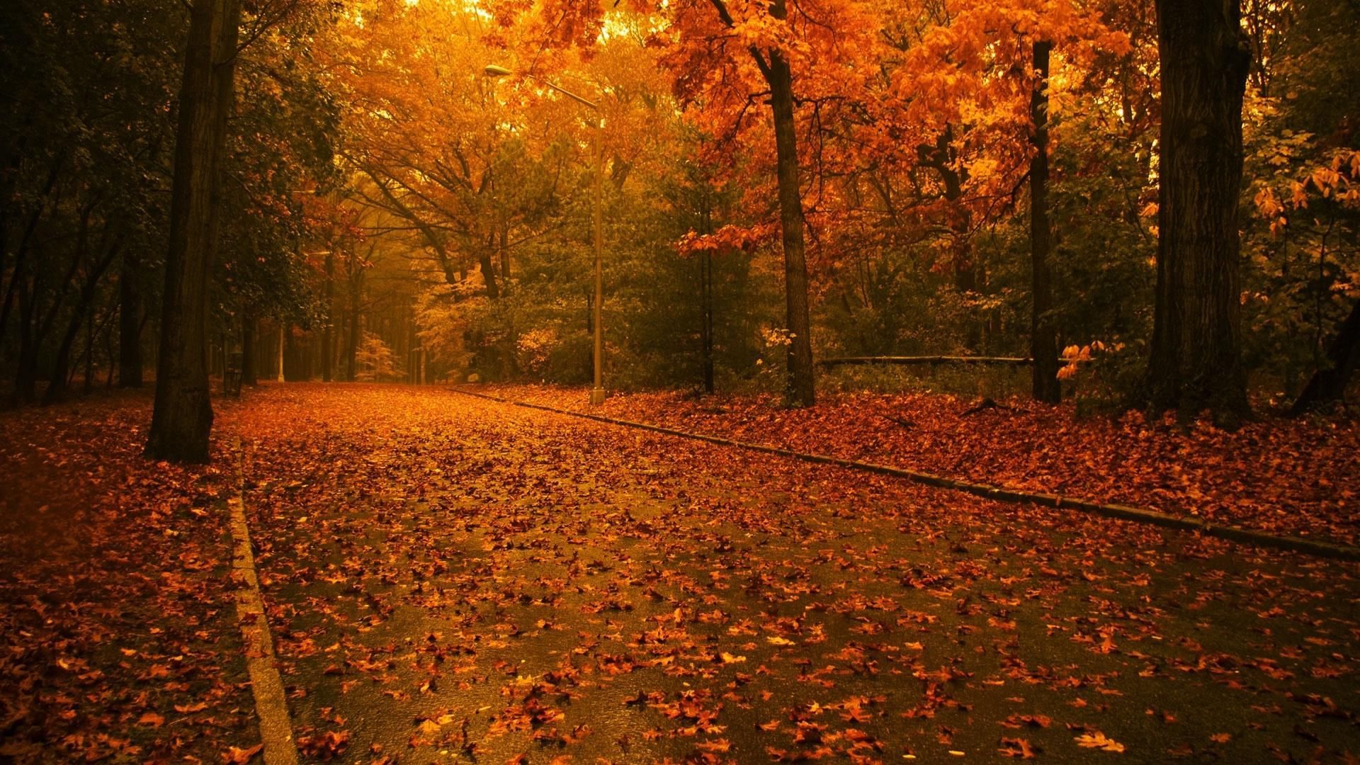 Relaxing autumn day wallpapers