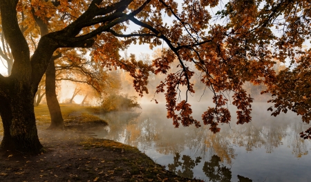 Misty autumn morning
