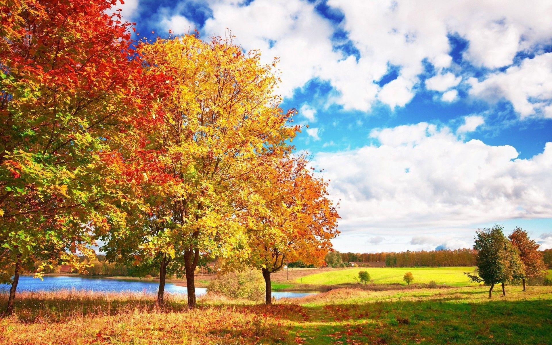 Bright autumn day wallpapers