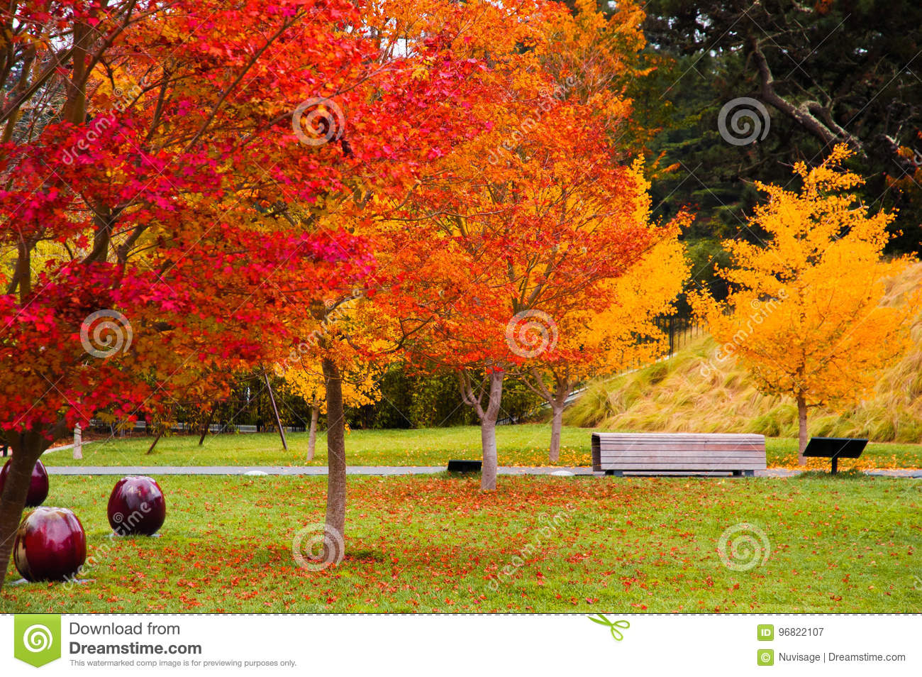 Autumn san francisco stock photos