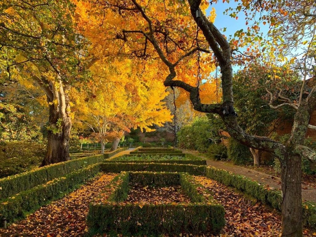 Gorgeous places to see fall foliage in the bay area