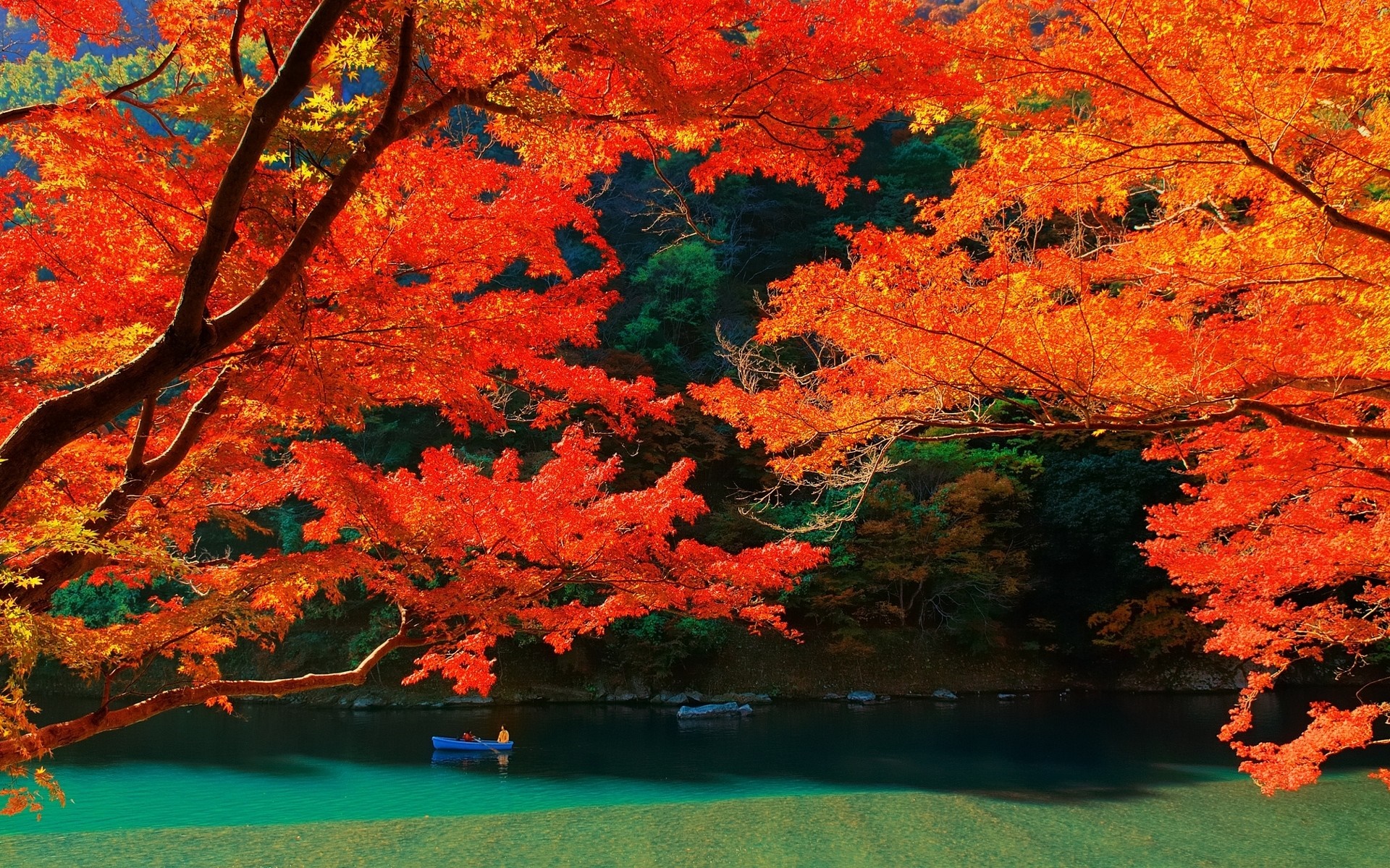 Kyoto p k k hd wallpapers backgrounds free download rare gallery