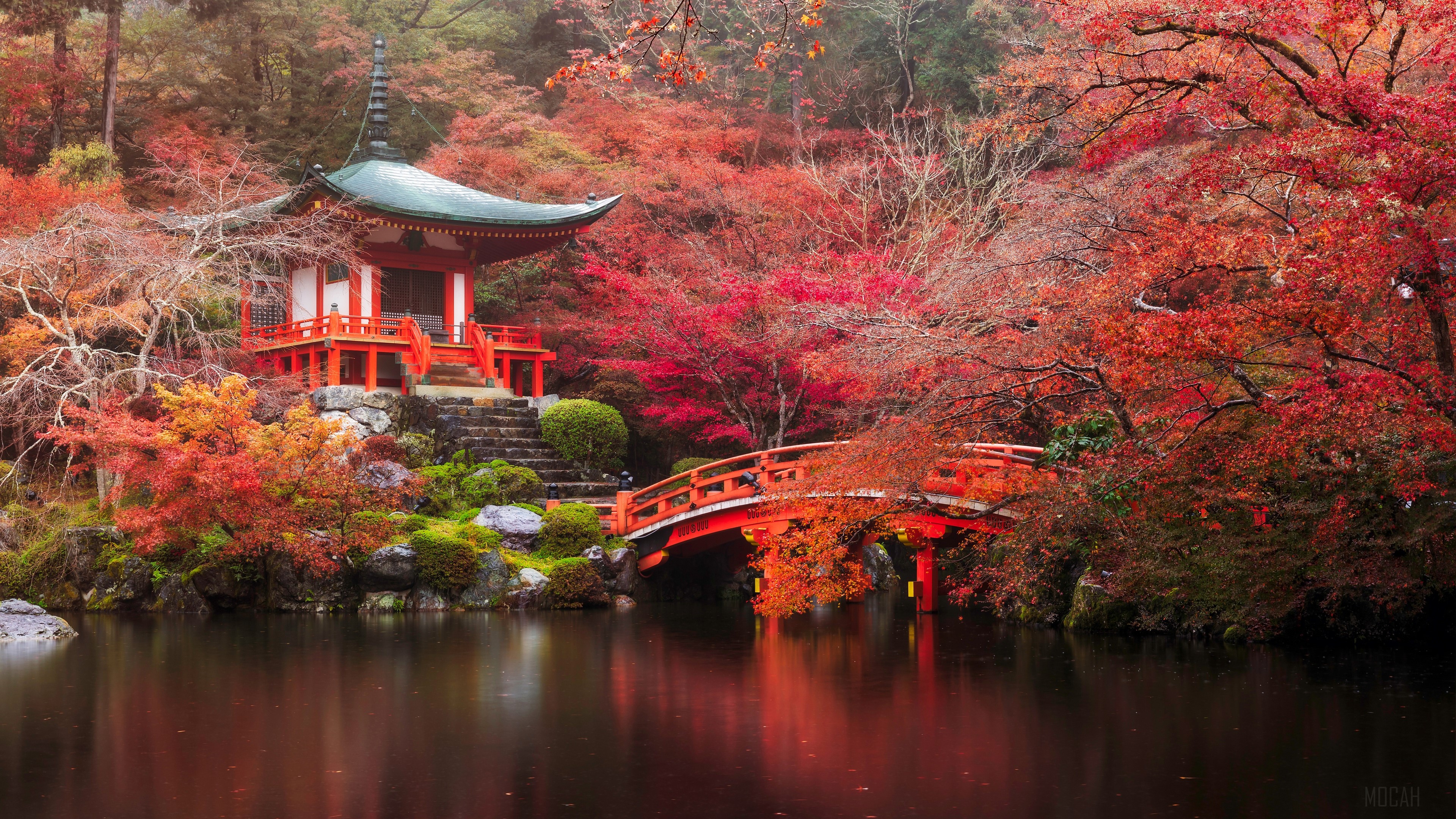 Bridge fall japan kyoto nature pagoda park pond tree k