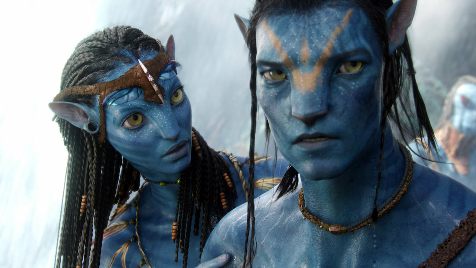 Questions and answers telling you everything you need to know before avatar the way of water popverse