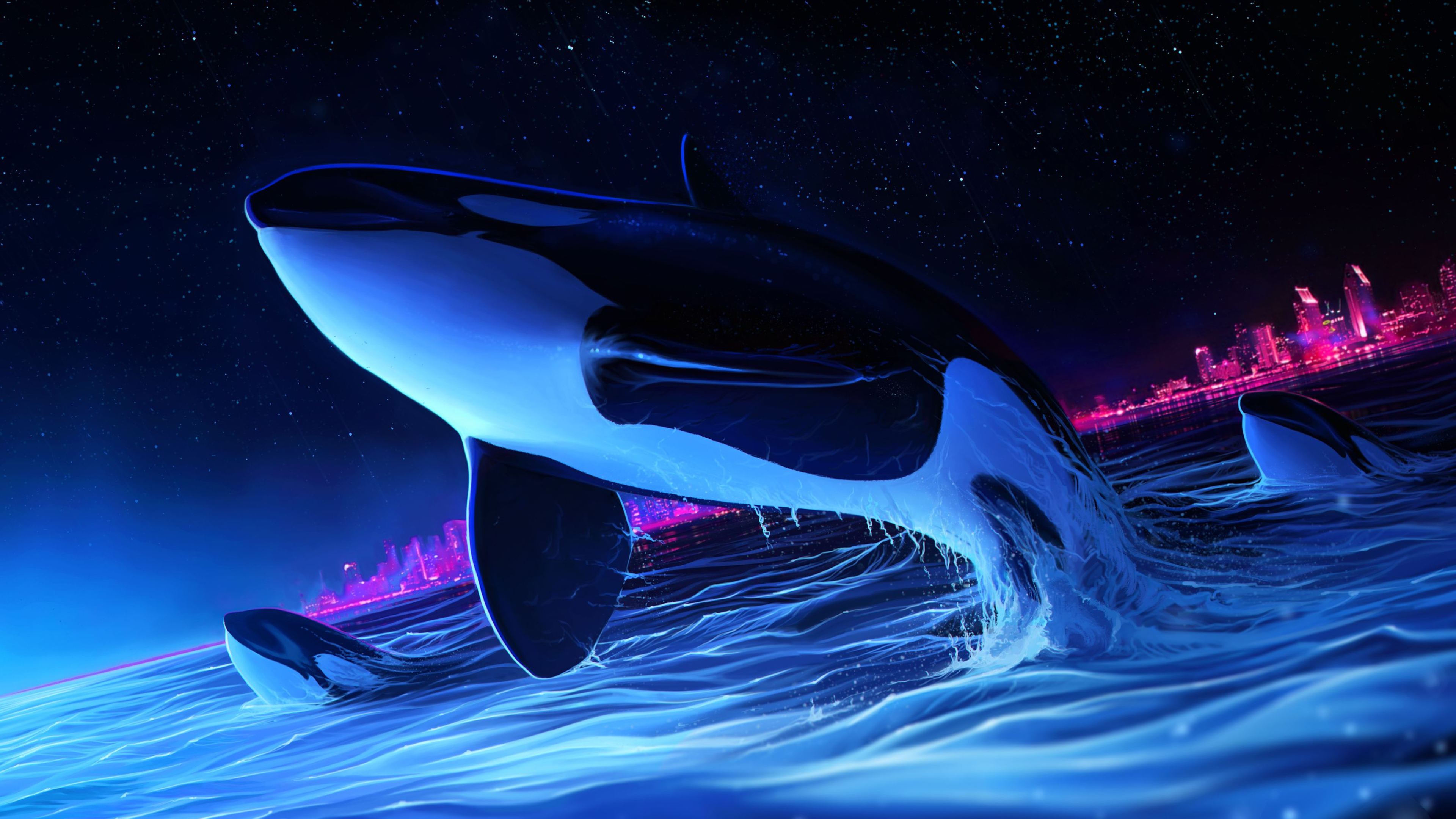Orca wallpapers and backgrounds k hd dual screen