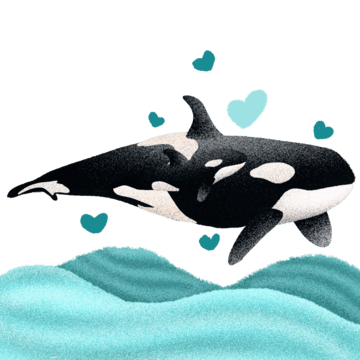 Orca whale png vector psd and clipart with transparent background for free download