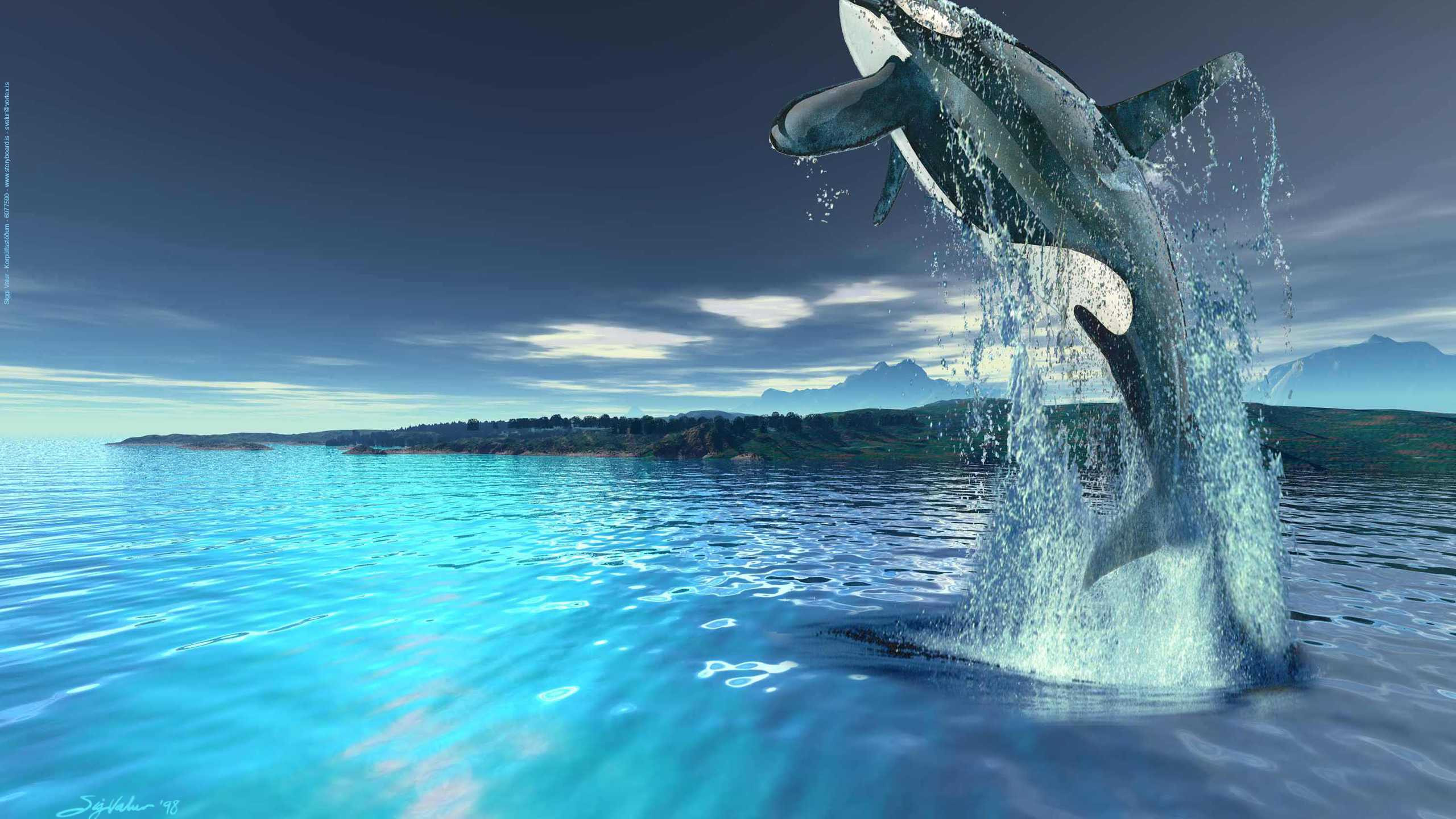 Killer whale background wallpapers