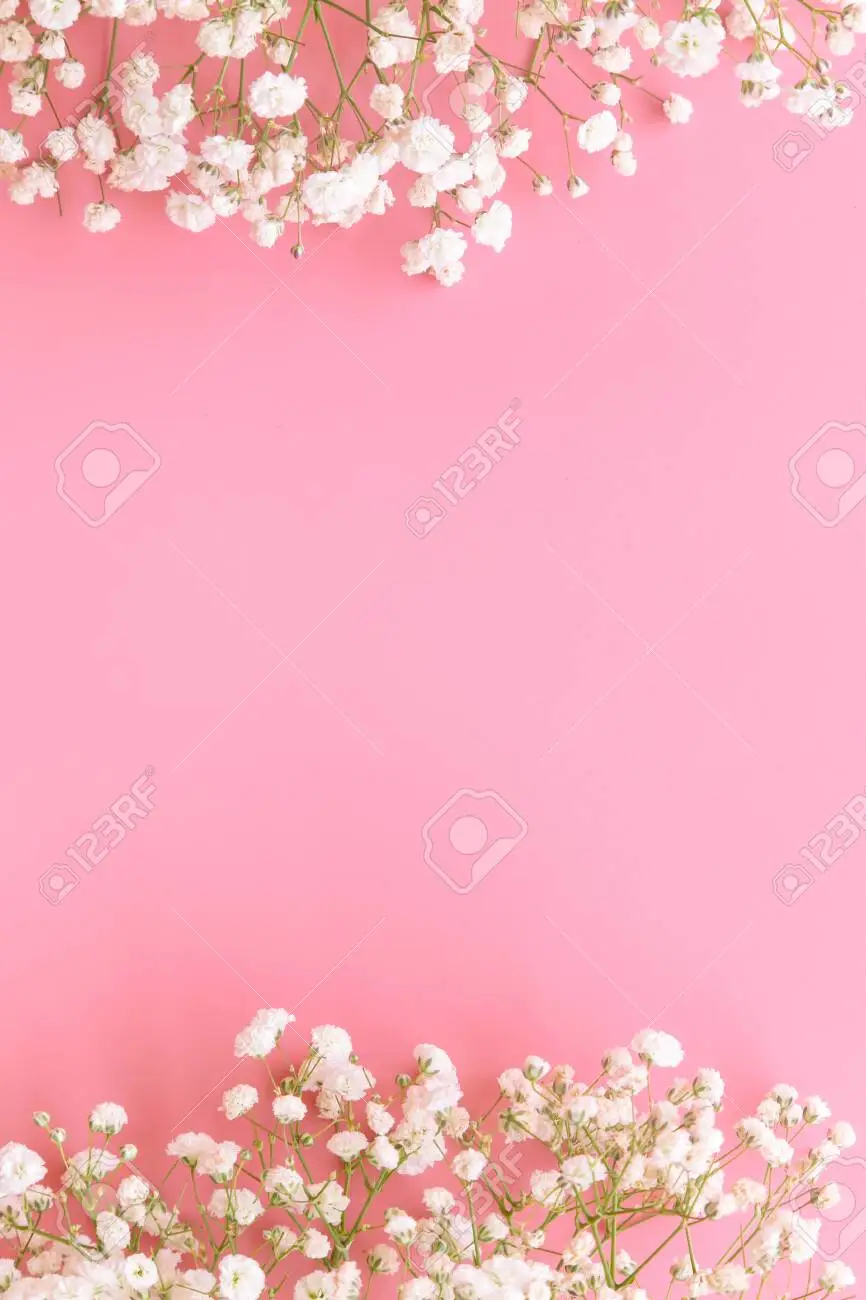Light pink background - PSDstamps