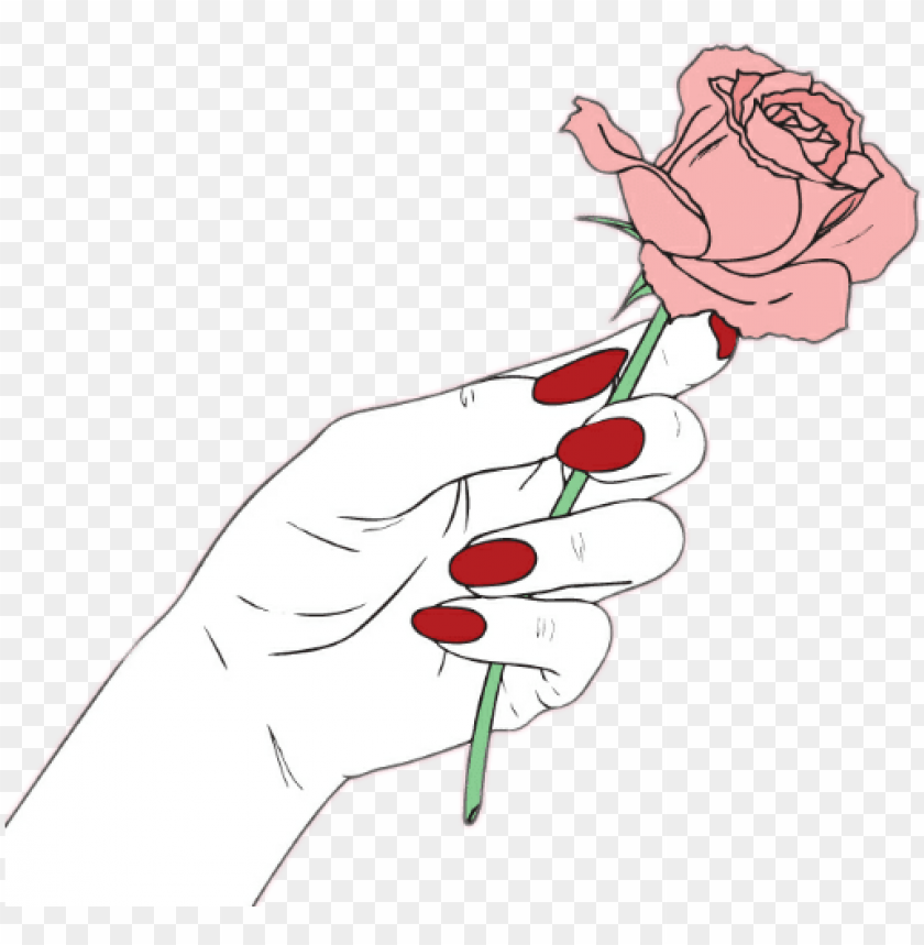 Hands tumblr flower rose