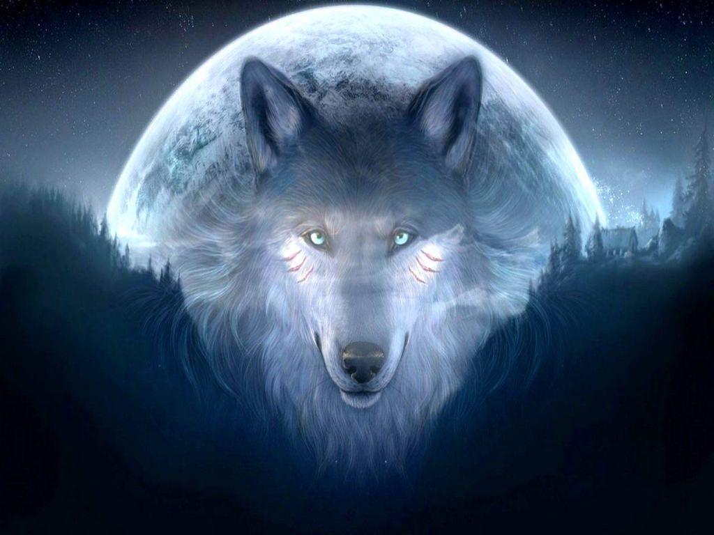 Wolf hd wallpapers backgrounds wallpaper wolf background wolf pictures wolf spirit animal