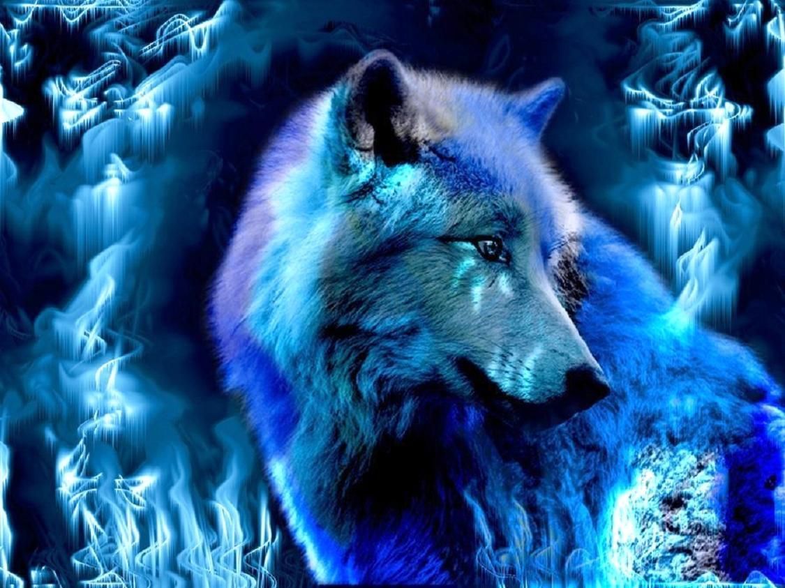 Cool blue wolf s on