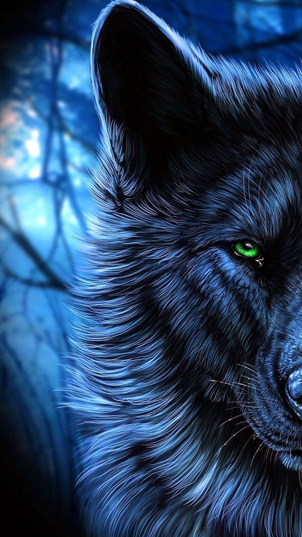 Black wolf s on