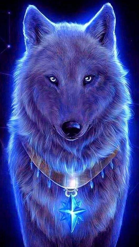 Cool blue wolf wallpapers