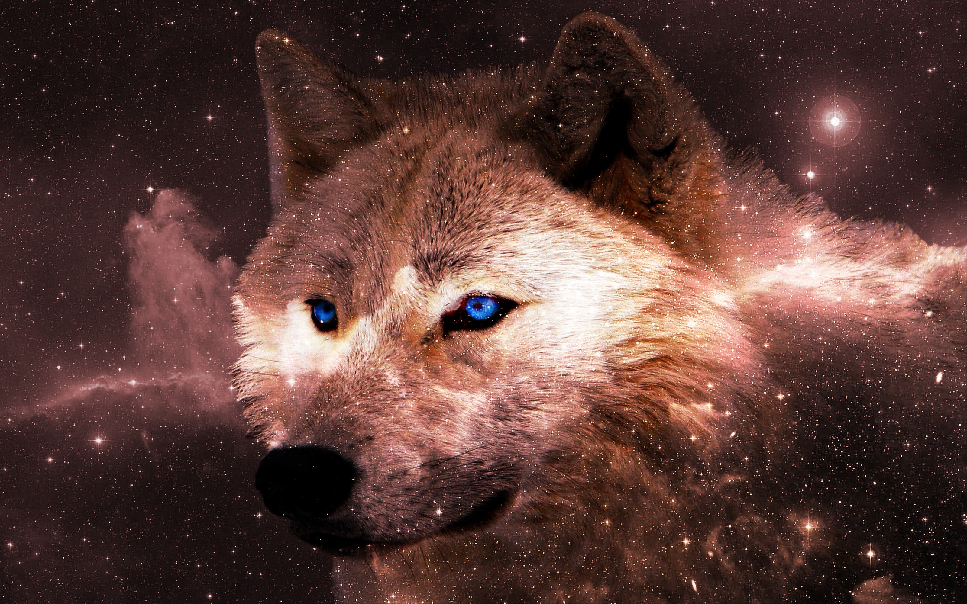 Wolf wallpapers images
