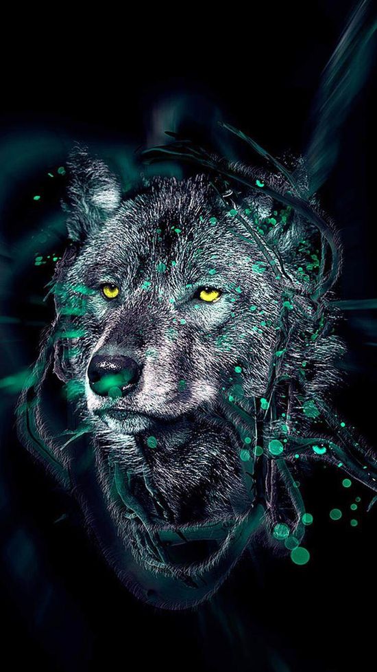 Wolf wallpaper ideas wolf wolf wallpaper wolf spirit