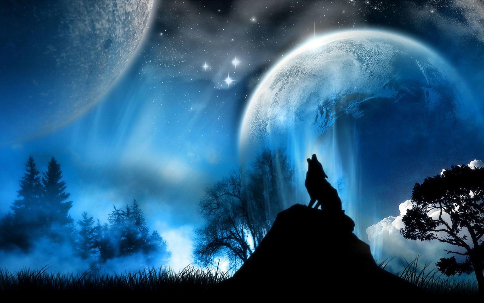 Wolf backgrounds free download