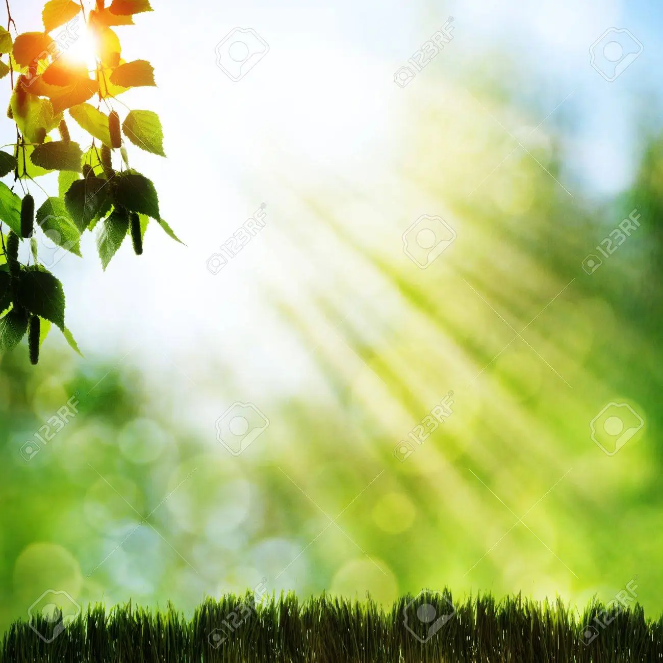 Abstract natural backgrounds with beauty bokeh stock photo picture and royalty free image image