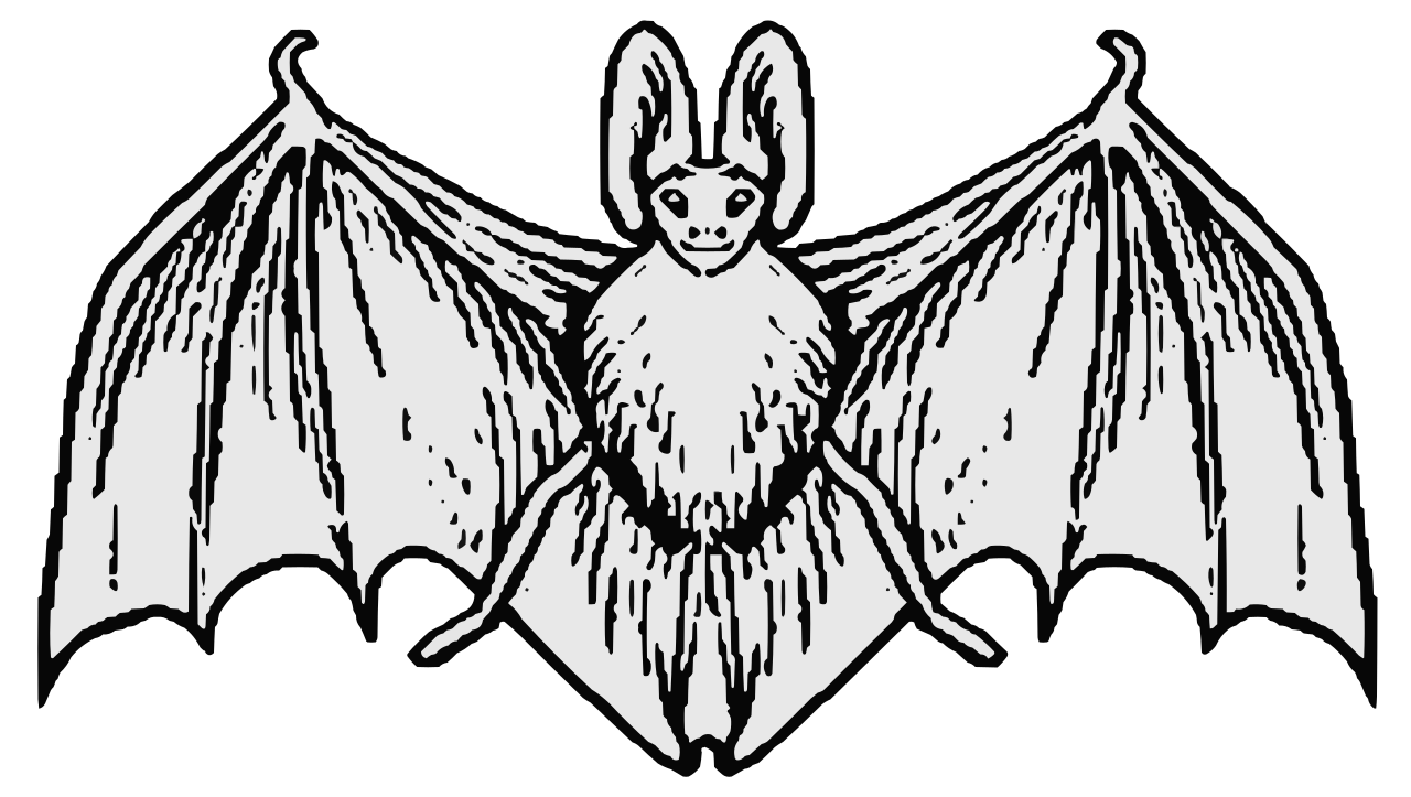 Filecoa illustration elements animal batsvg