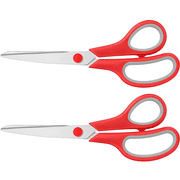 Scissors in office supplies