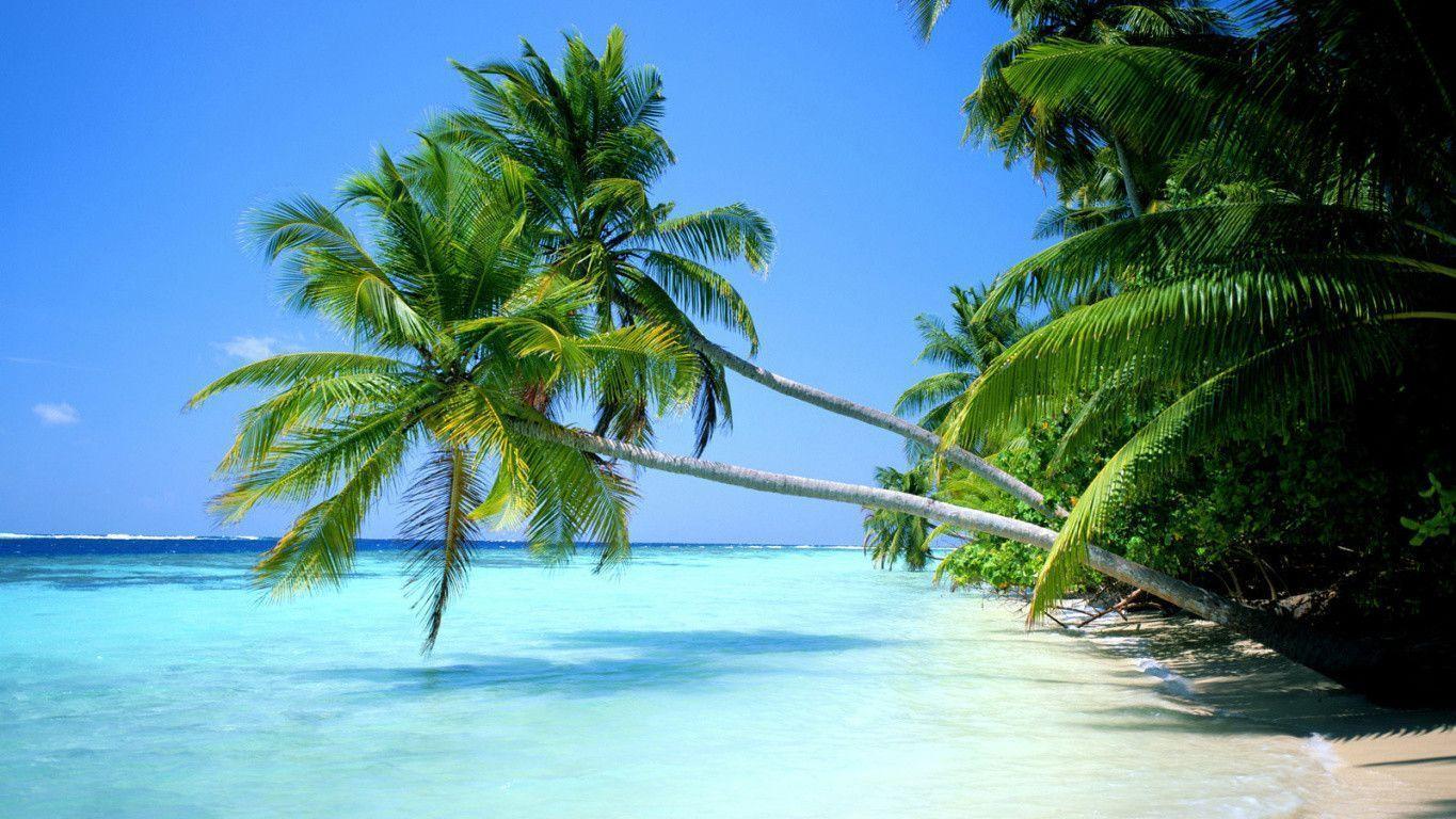 Tropical beach desktop wallpapers