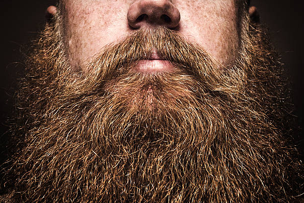 Big beard man stock photos pictures royalty