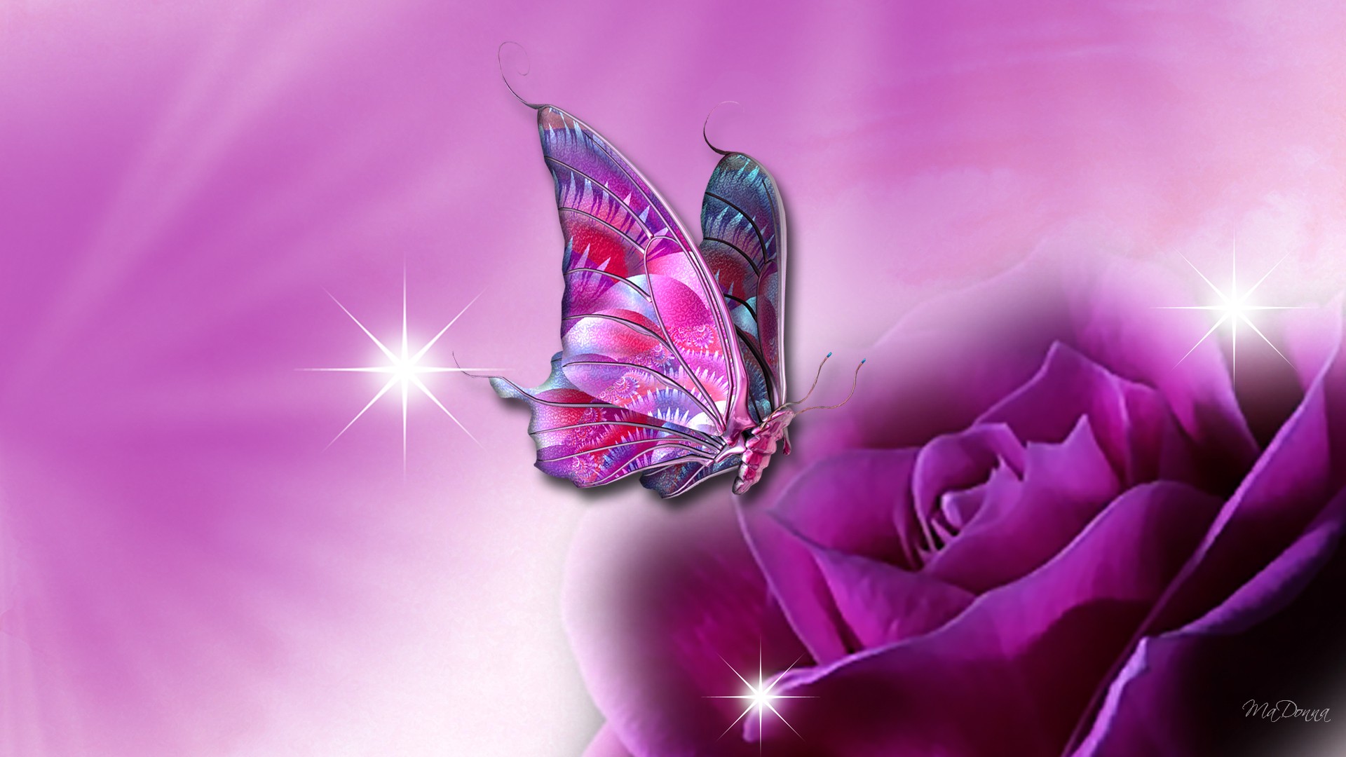 Butterfly wallpapers for laptop