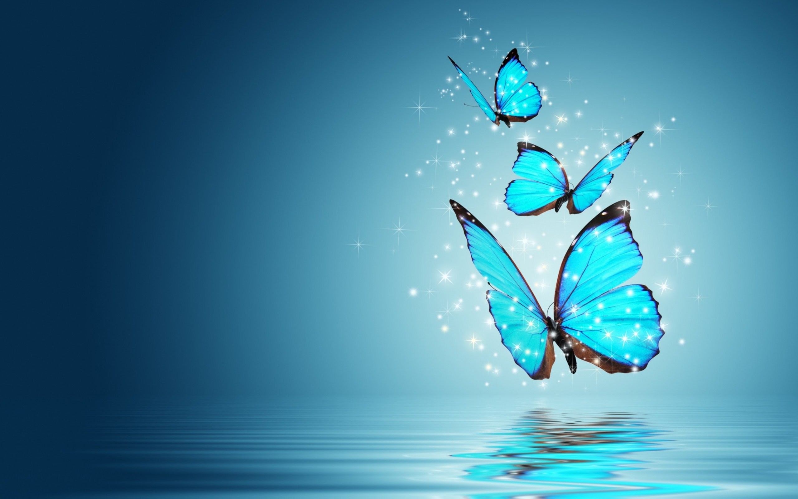 Artistic butterfly hd papers and backgrounds