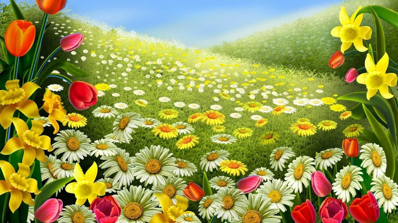 Beautiful flower wallpaper