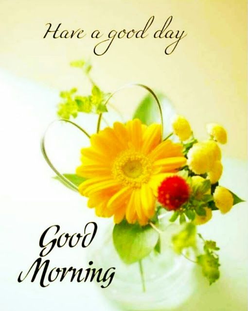 Good morning images good morning flowers quotes good morning flowers good morning images