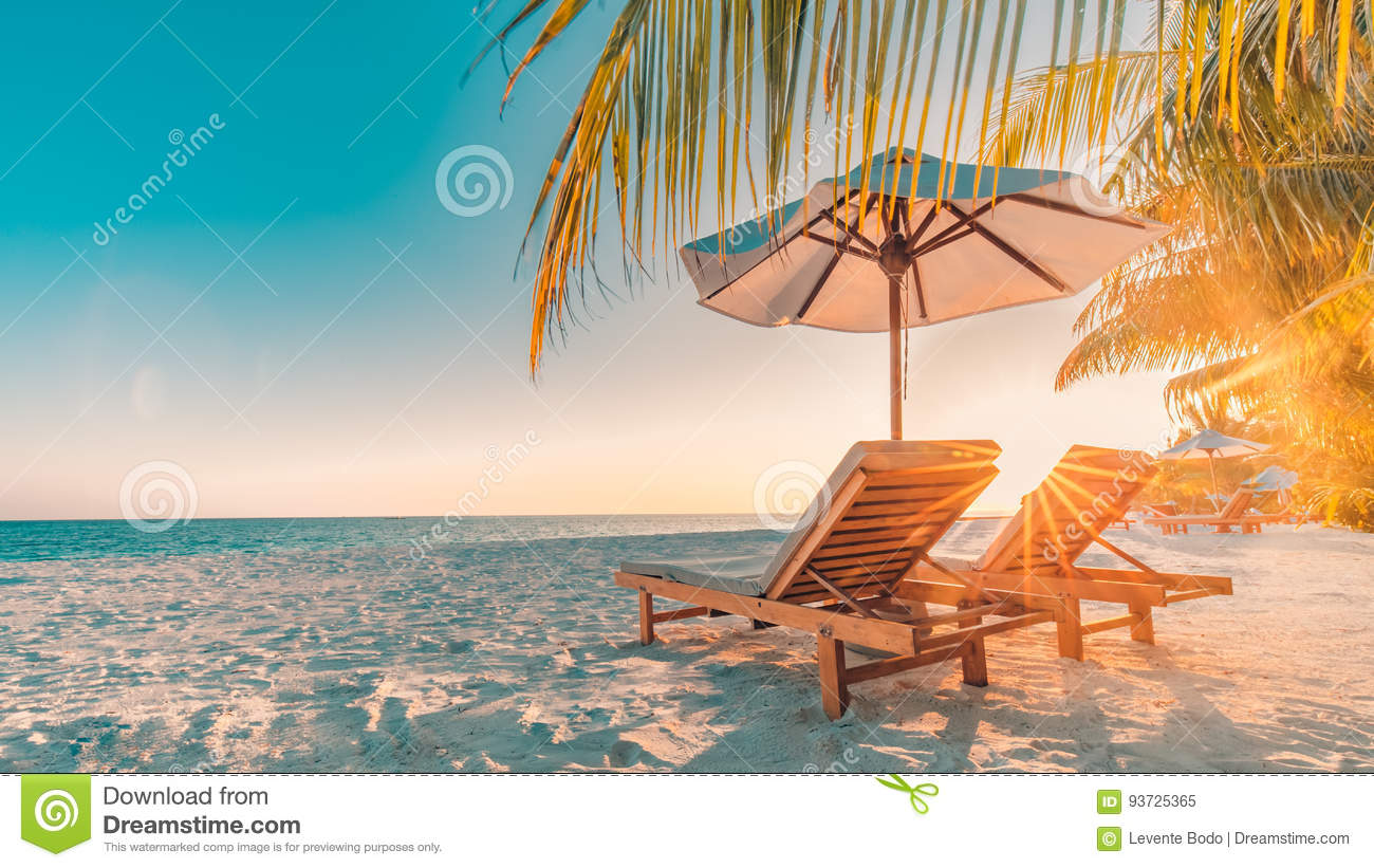 Beach background beautiful beach landscape tropical nature scene palm trees and blue sky summer holiday and vacation concept stock image