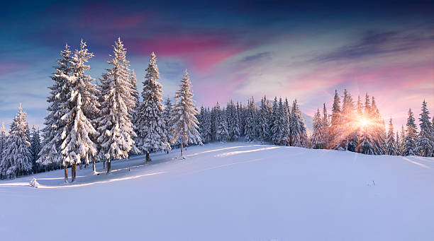 Winter landscape stock photos pictures royalty