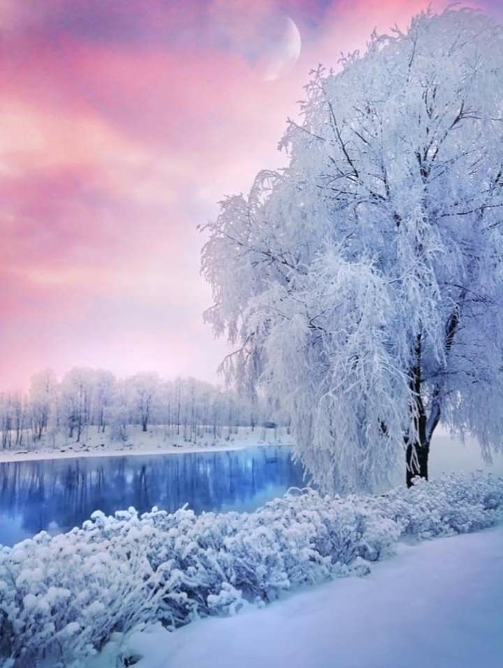 Beautiful winter scenery beautiful winter pictures beautiful winter scenes