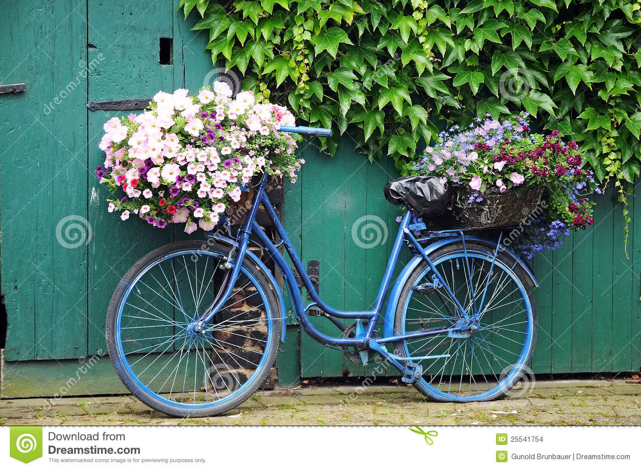 Bicycle stock photos