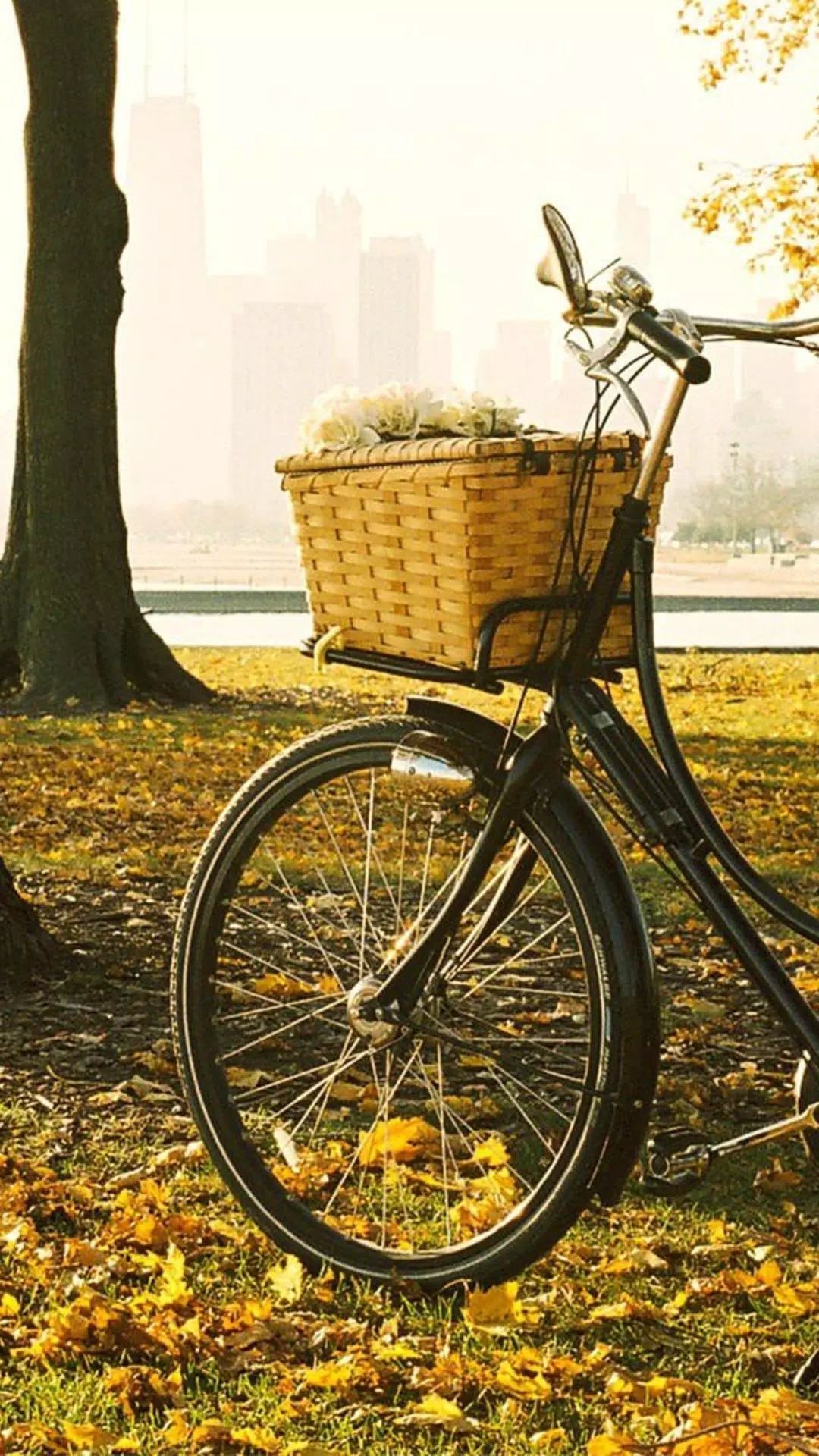 Bicycle wallpapers hd apk for android download