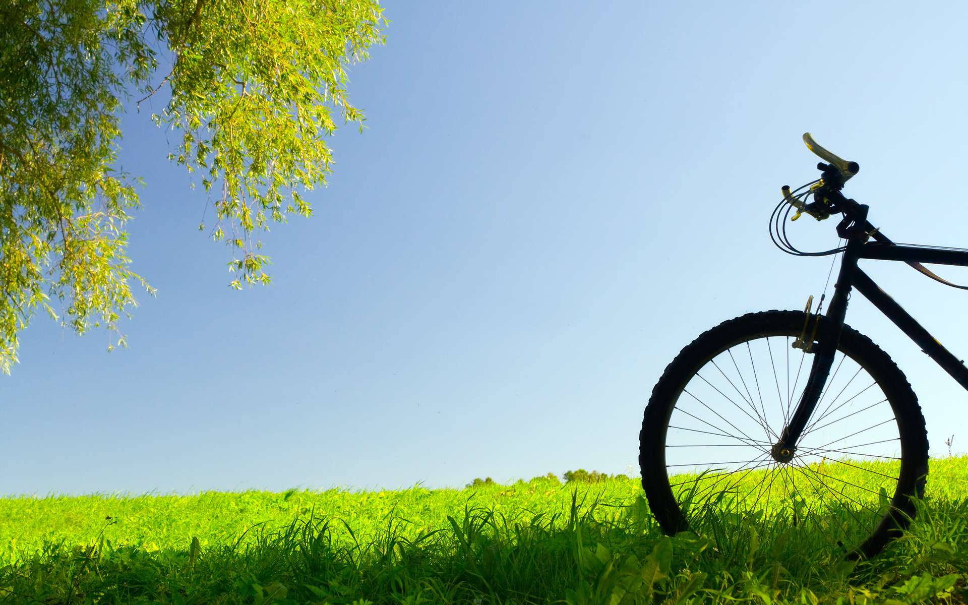 Bicycle pictures and wallpapers