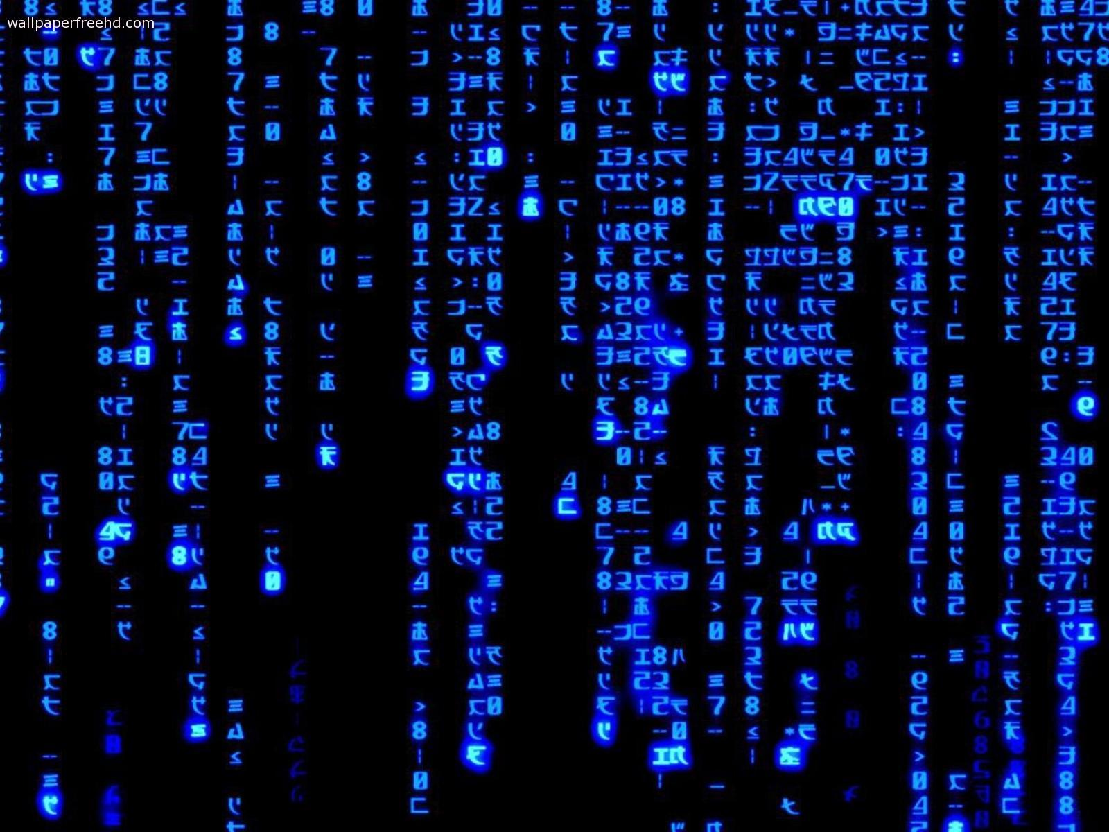 The high coding. Матрица 101011010010101001010 синяя. Компьютерный код. Хакерские цифры. Хакерский фон.
