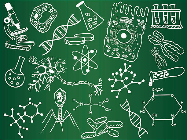 Drawing of a biochemistry wallpaper illustrations clip art