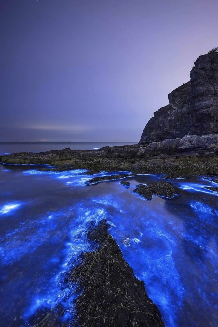 Bioluminescence aesthetic beautiful night images nature pictures landscape wallpaper
