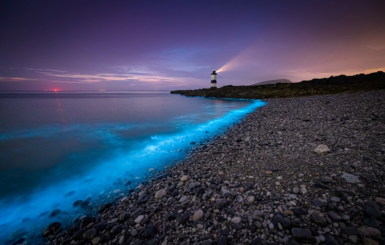 Wallpaper sea evening lighthouse bioluminescence images for desktop section ððµðð