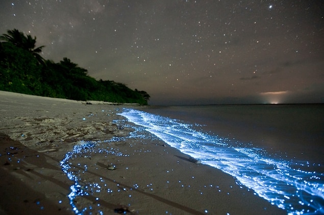 Pictures glowing blue waves explained