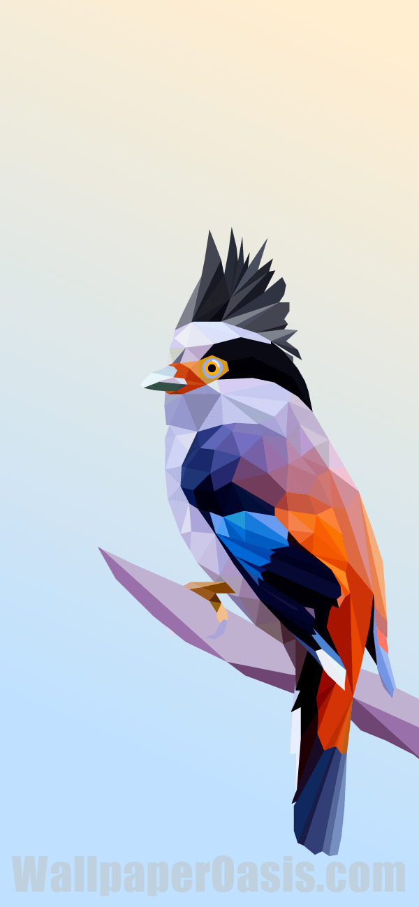 Geometric bird iphone wallpaper