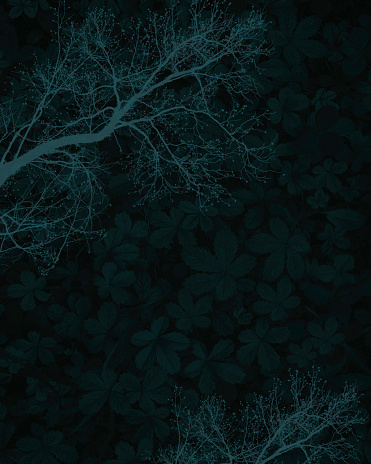 Download Free 100 + black and teal wallpaper