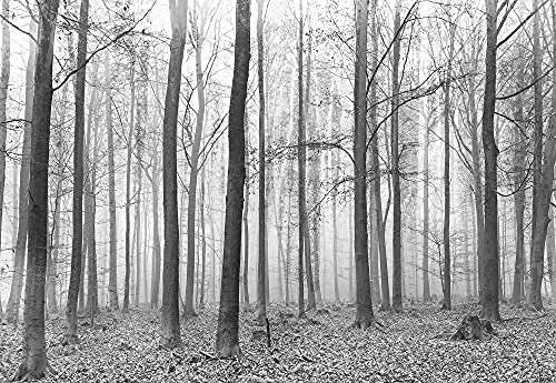 Photo wallpaper d black and white forest wallpaper wall picture forest and trees living room bedroom tv sofa background wall picture d wallpaper diy tools