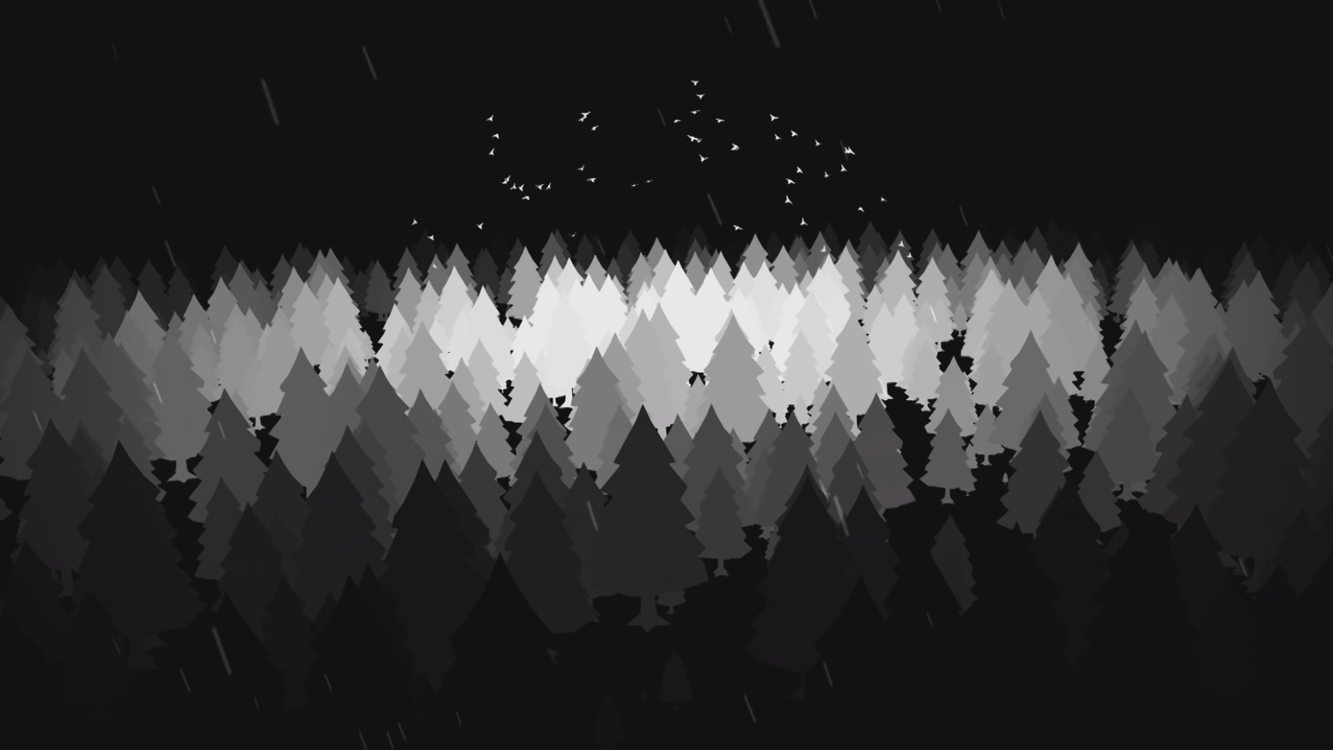 Black and white forest x rwallpaper