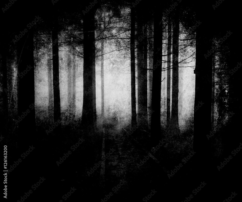 Black white scary halloween forest wallpaper