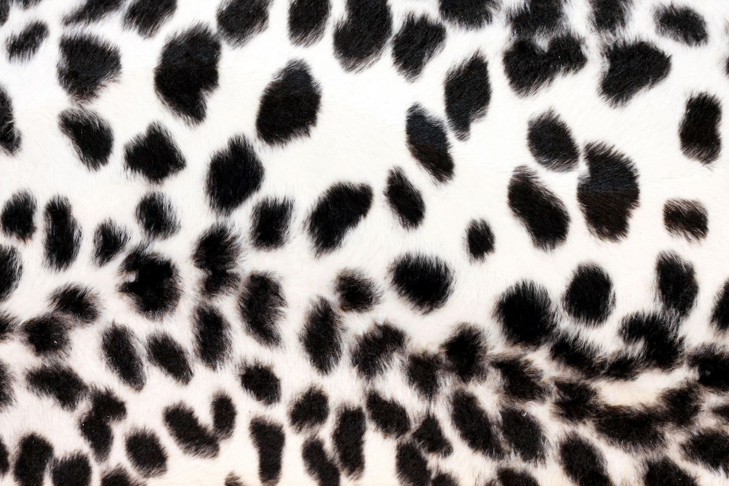 black cheetah print wallpaper