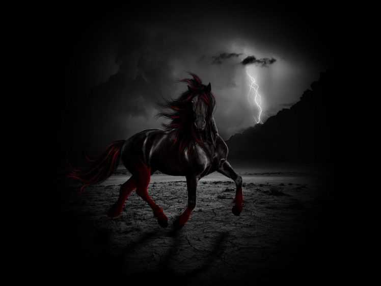 Red and black horse wallpapers hd desktop and mobile backgrounds