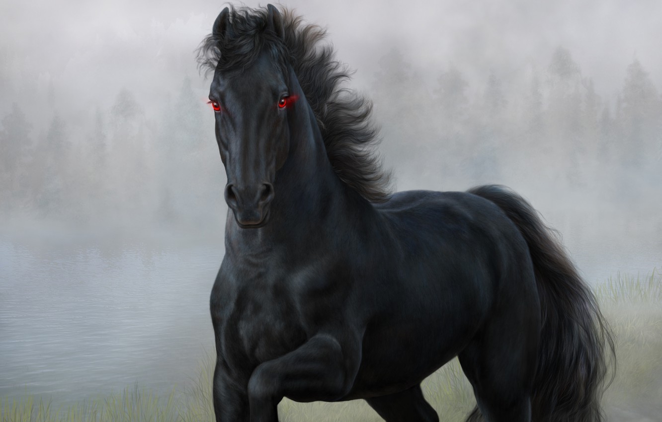 Wallpaper eyes horse black horse images for desktop section ñðµðððµñððð