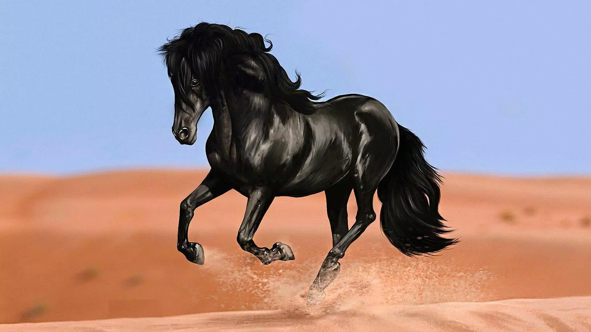 Black horse animal wallpapers apk for android download