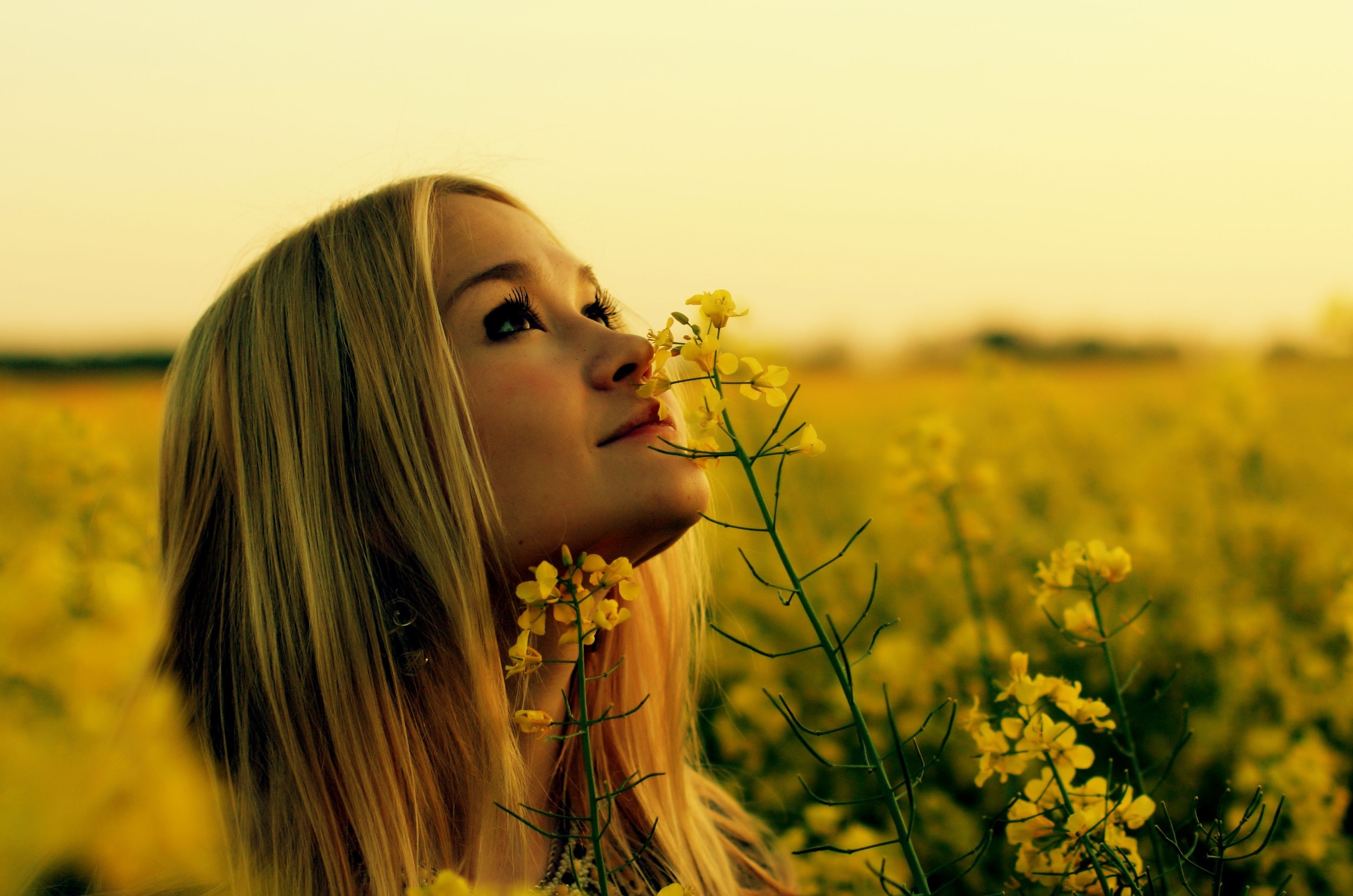 Rapeseed women outdoors blonde yellow flowers looking up flowers wallpapers hd desktop and mobile backgrounds
